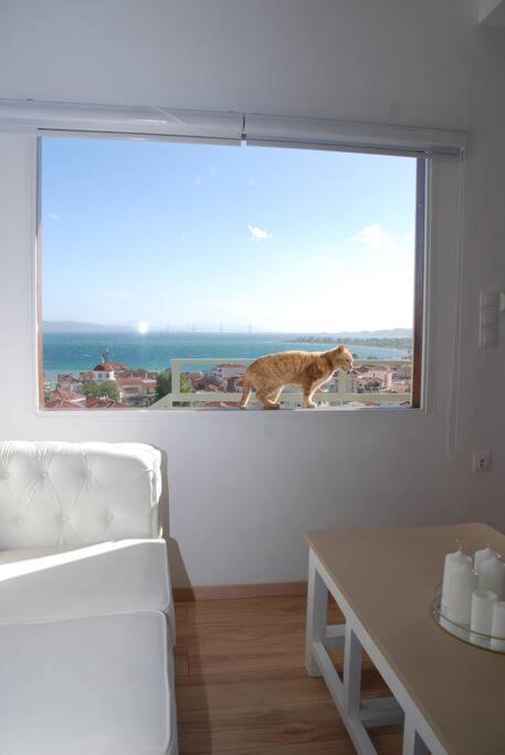 360ᵒ Lepanto Apartment Ναύπακτος Εξωτερικό φωτογραφία