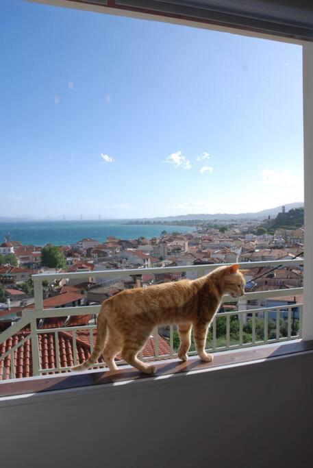 360ᵒ Lepanto Apartment Ναύπακτος Εξωτερικό φωτογραφία